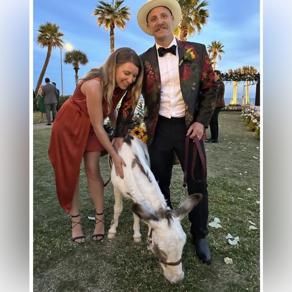 *SOLD* Asymmetrical Silk Cocktail Dress By Anthropologie Sz 6 - Picture 6 of 7